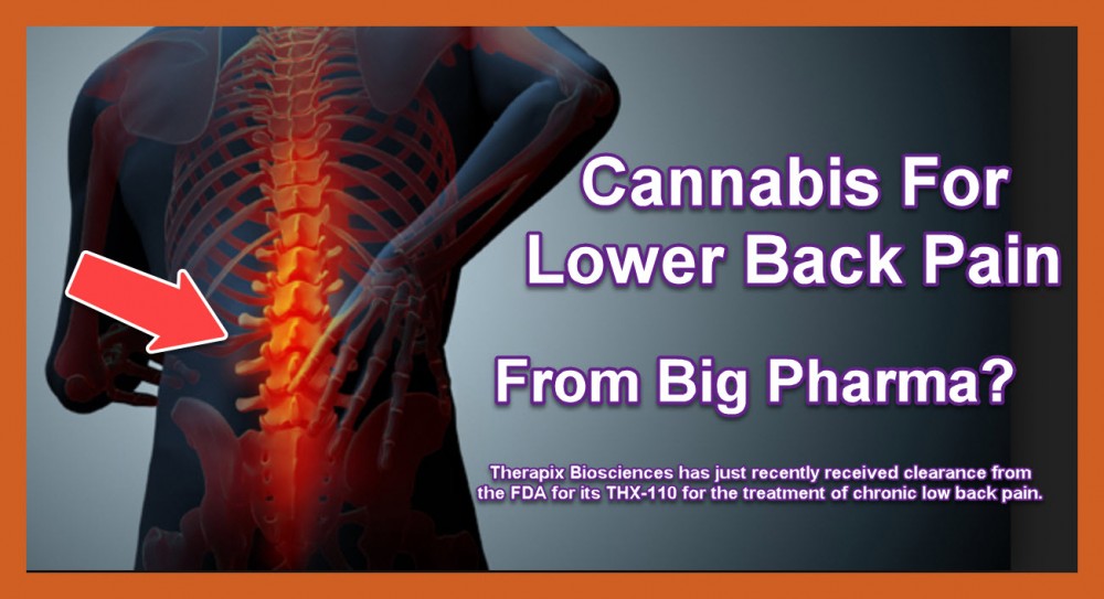 CANNABIS CBD CREAM FOR BACK PAIN FROM BIG PHARMA