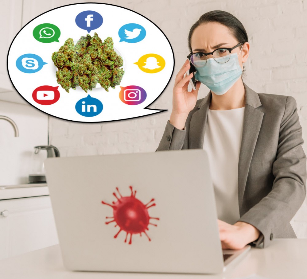 CANNABIS MARKETING TIPS IN CORONAVIRUS