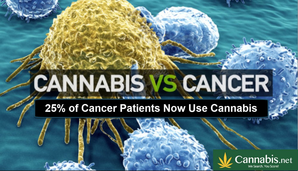 25 of Cancer Patients Now Use Cannabis