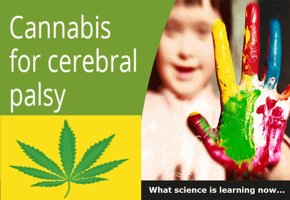 CANNABIS FOR CEREBRAL PALSY