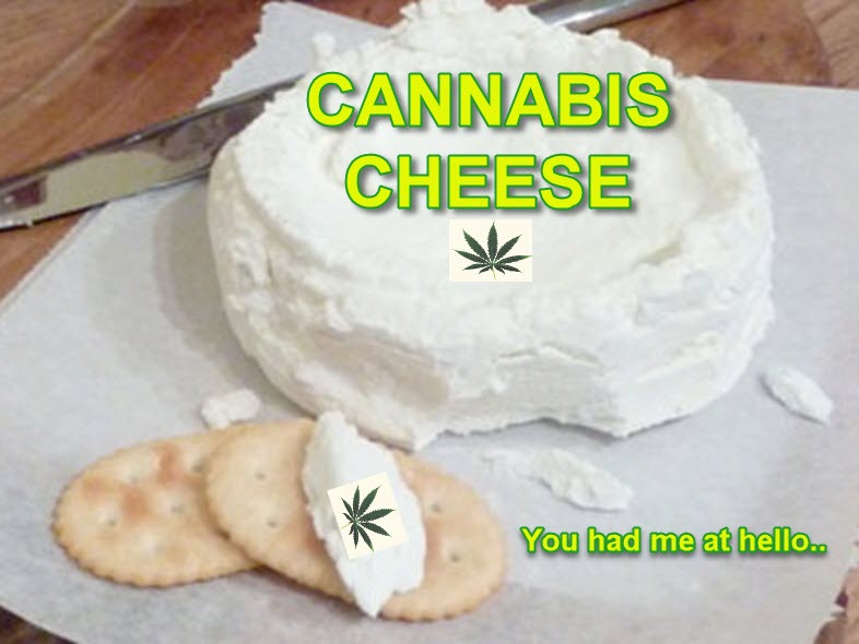 CANNABIS CHEESE