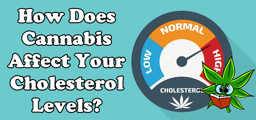 HOW MARIJUANA AFFECTS CHOLESTEROL 