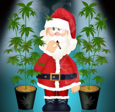 cannabis christmas carols