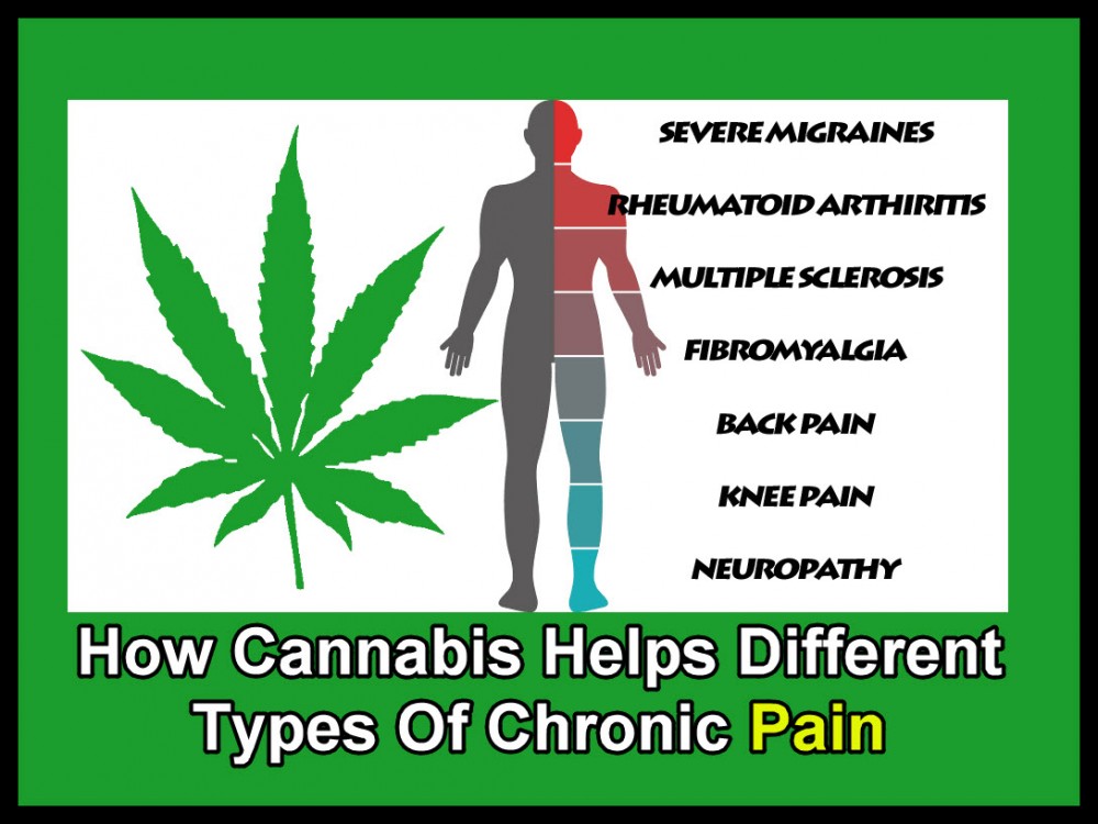 CHRONIC PAIN AND CANNABIS