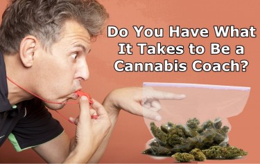 WHAT IS A CANNABIS COACH