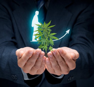 WHAT IS A CANNABIS BUSINESS COACH