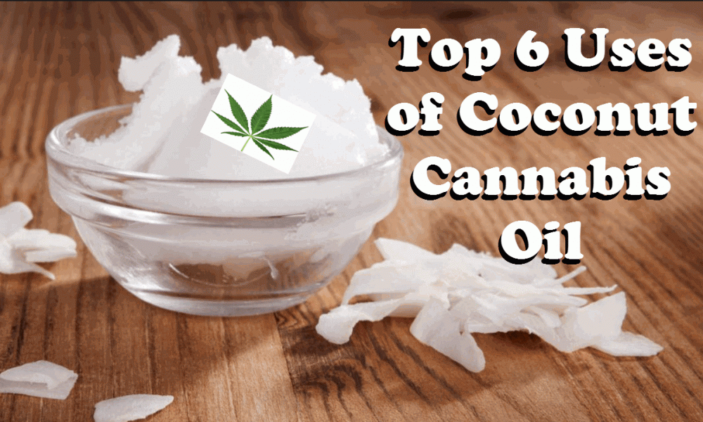 HOW TO USE CANANBIS COCONUT OIL