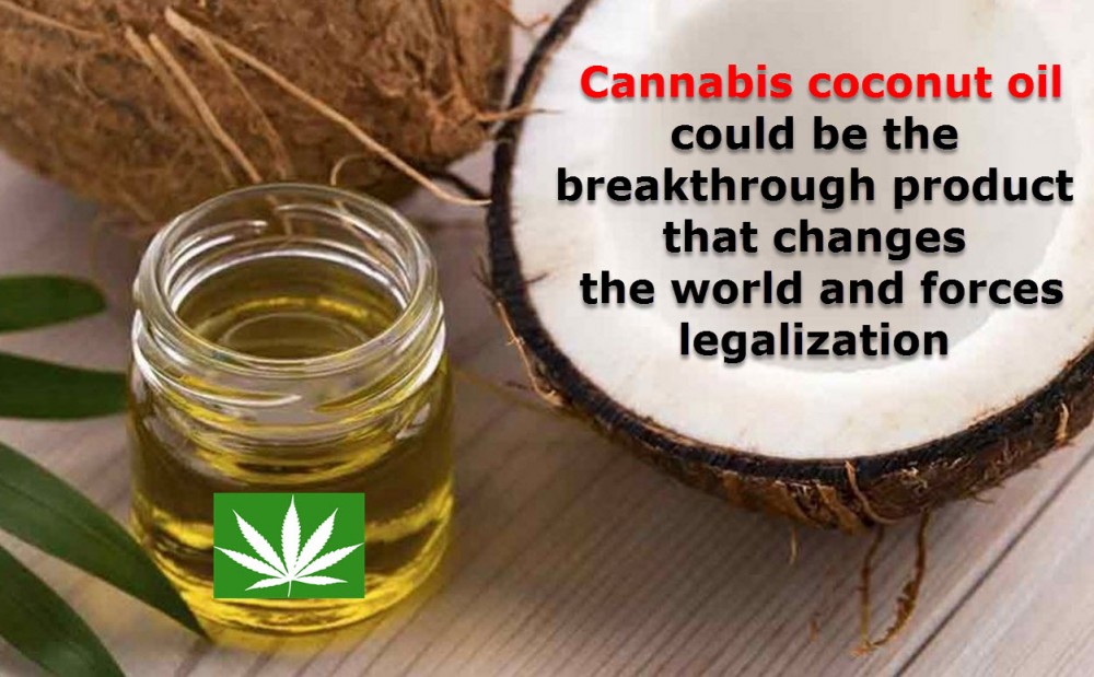 COCONUT CANNABIS OIL