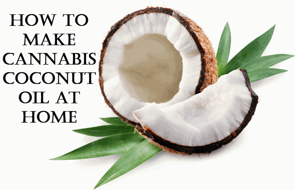 HOW TO MAKE CANNABIS COCONUT OIL
