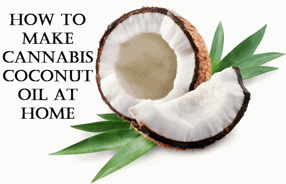 HOW TO MAKE CANNABIS COCONUT OIL 