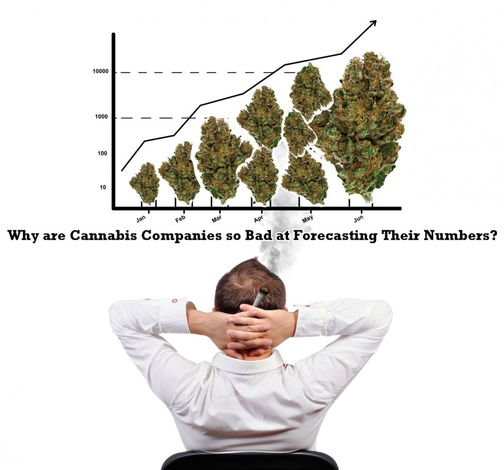 cannabis companies forecasting