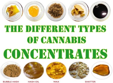 DIFFERENT CANNABIS CONCENTRATES