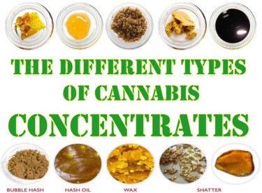 VARIOUS CANNABIS CONCENTRATES