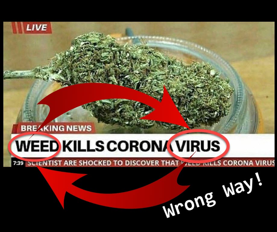 CORONAVIRUS ON MARIJUANA 