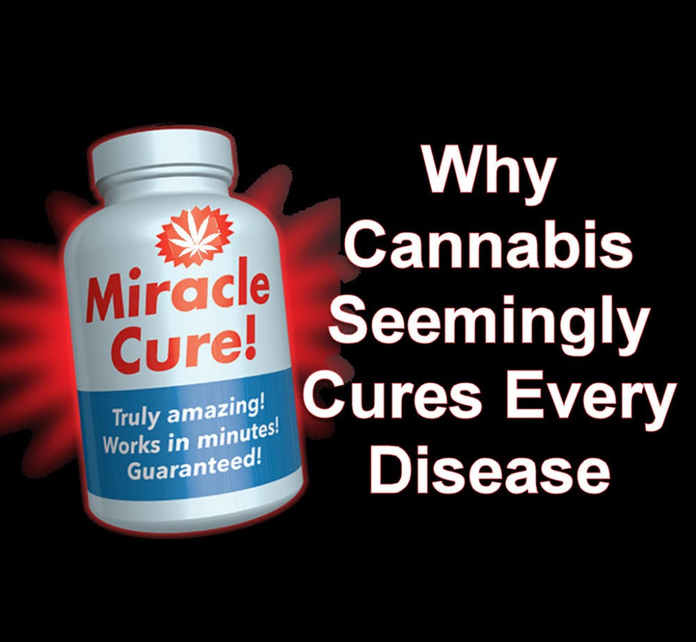 WHY CANNABIS CURES EVERYTHING