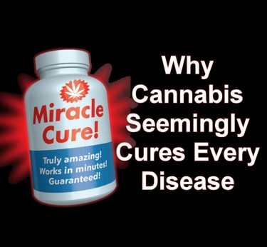 CAN CANNABIS CURE EVERYTHING