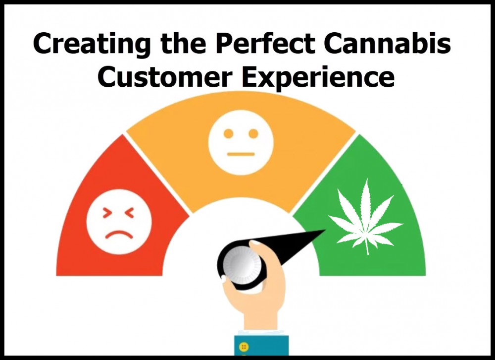 CUSTOMER EXPERIENCE IN CANNABIS