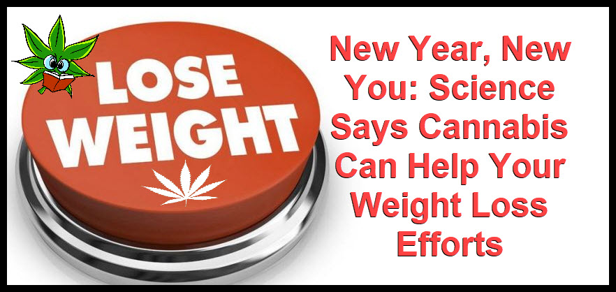CANNABIS TO LOSE WEIGHT