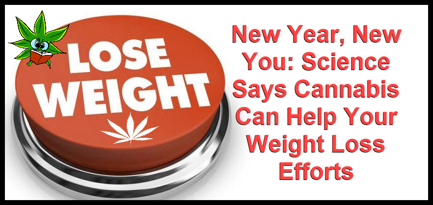 CANNABIS TO LOSE WEIGHT DIET WEED DIET