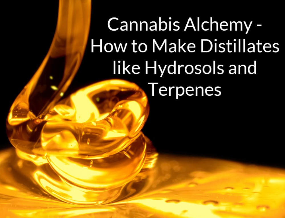 CANNABIS DISTILLATES AND HYDROSOLS WITH TERPENES