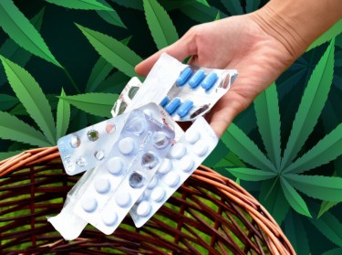 cannabis patients drop prescriptoin drugs