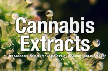 WHAT ARE CANNABIS EXTRACTS