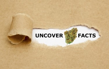 CANNABIS FACTS YOU DIDN'T KNOW