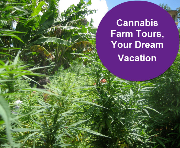 JAMAICAN FARM TOURS START