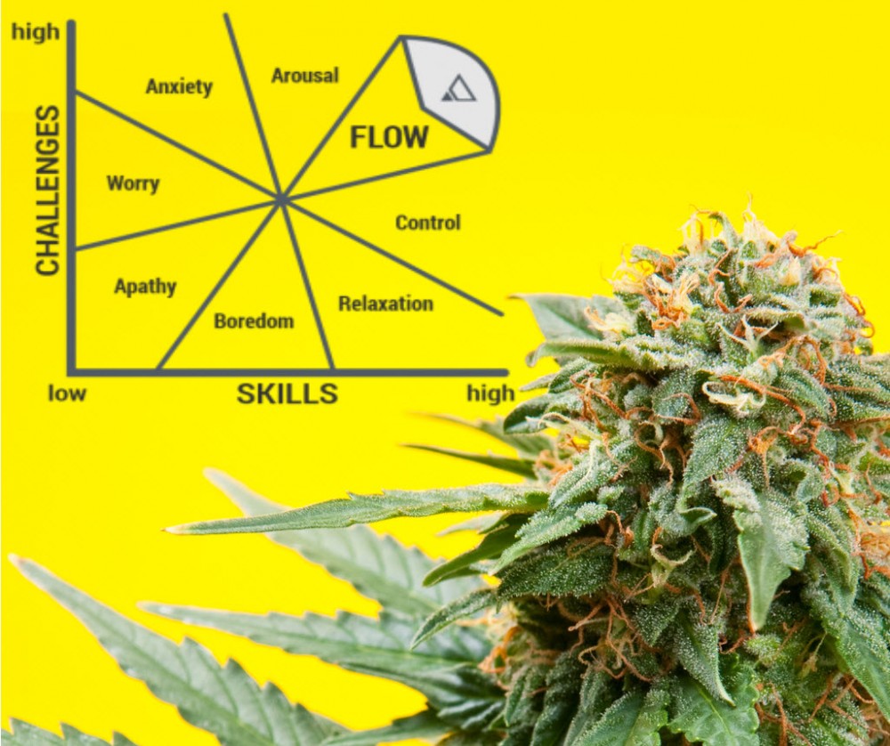 cannabis and the flow state