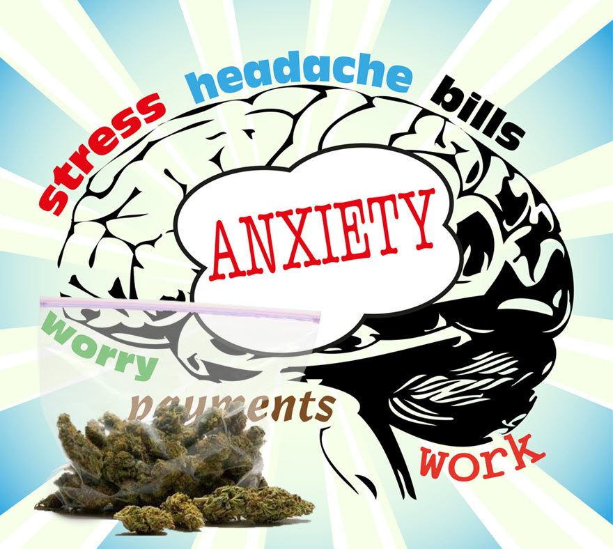 Latest Studies Prove That Cannabis Is Indeed Effective For Anxiety And ...