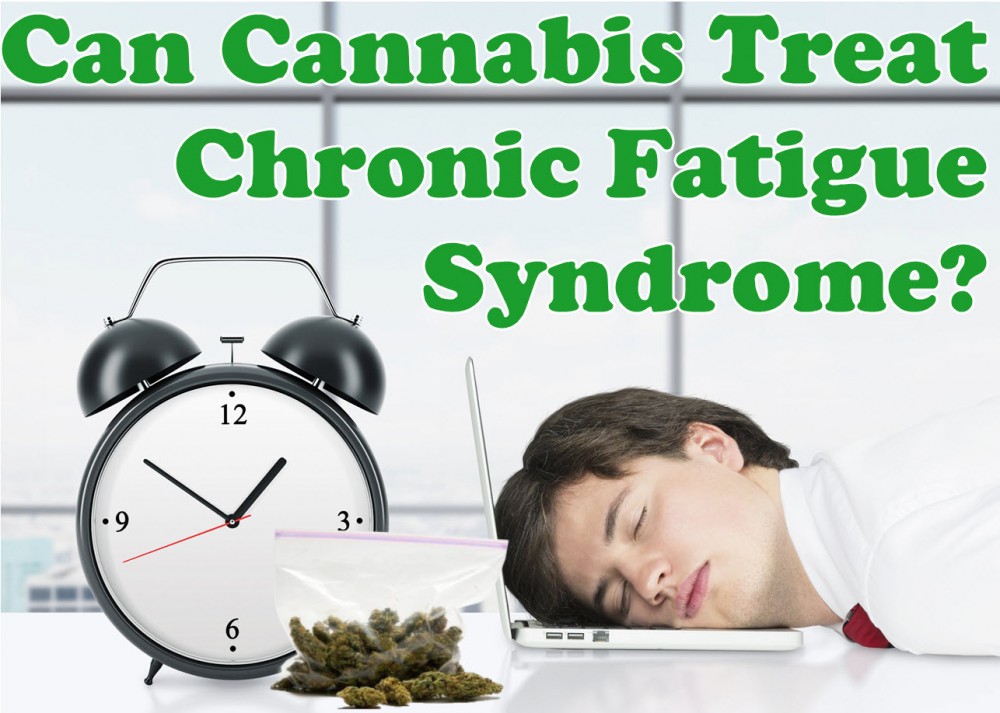 cannabis for chronic fatigue syndrome