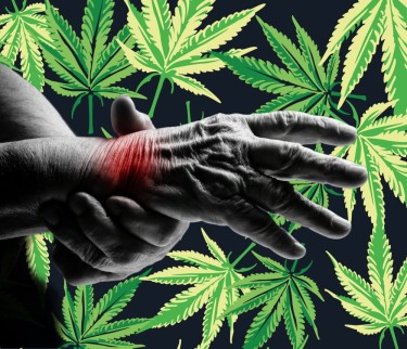 cannabis for chronic pain and arthritis