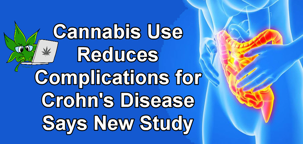 cannabis for crohn's disease study
