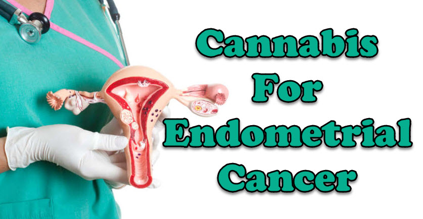 CANNABIS FOR ENDOMETRIOSIS CANCER