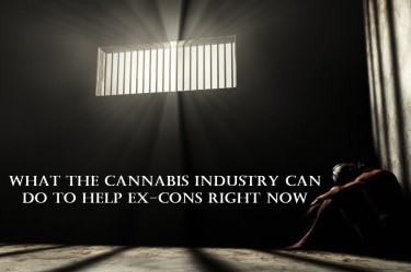 EX DISADVANTAGES IN THE CANNABIS INDUSTRY