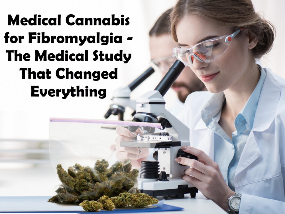 MEDICAL STUDIES ON CANNABIS FOR FIBROMYALGIA