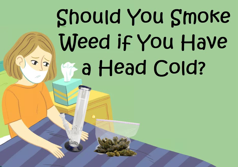 CANNABIS FOR A COMMON COLD YES OR NO