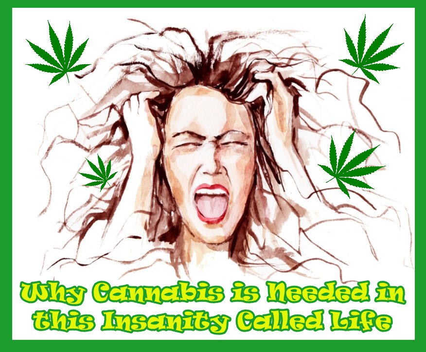 CANNABIS FOR THE INSANITY OF LIFE