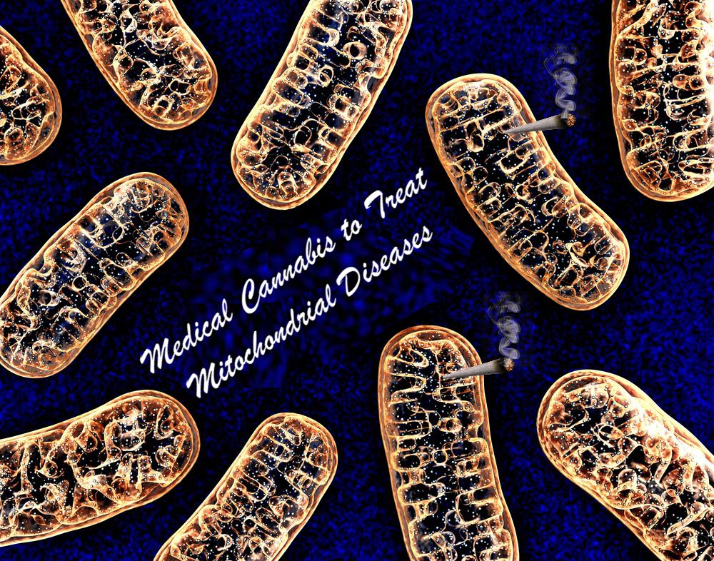 cannabis mitochondrial diseases
