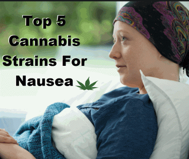 MARIJUANA STRAINS FOR NAUSEA