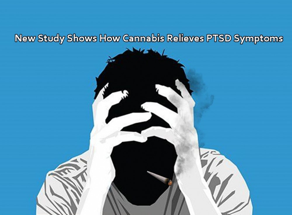 cannabis study for ptsd