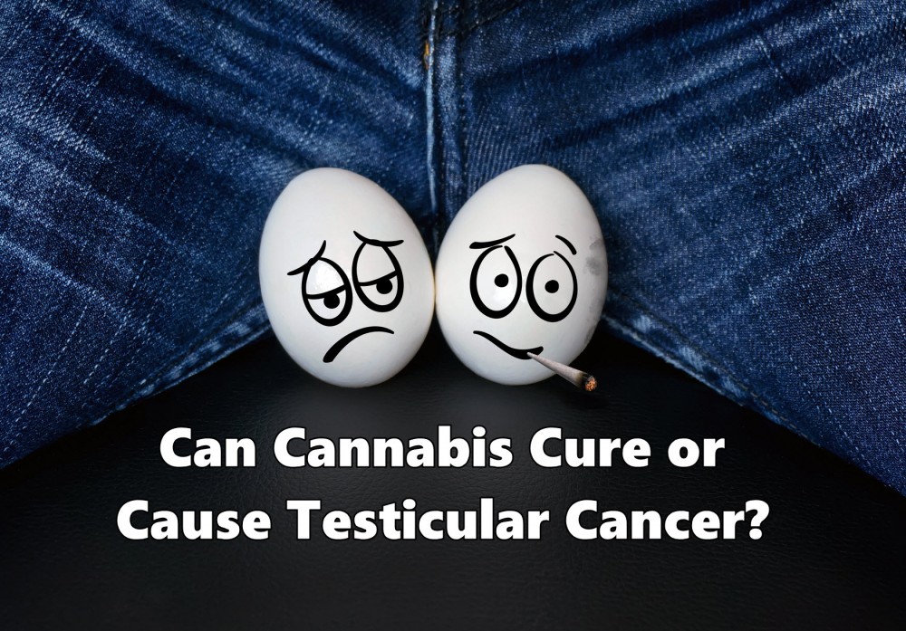 CANNABIS AND TESTICLE CANCER