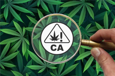 california cannabis stamp 