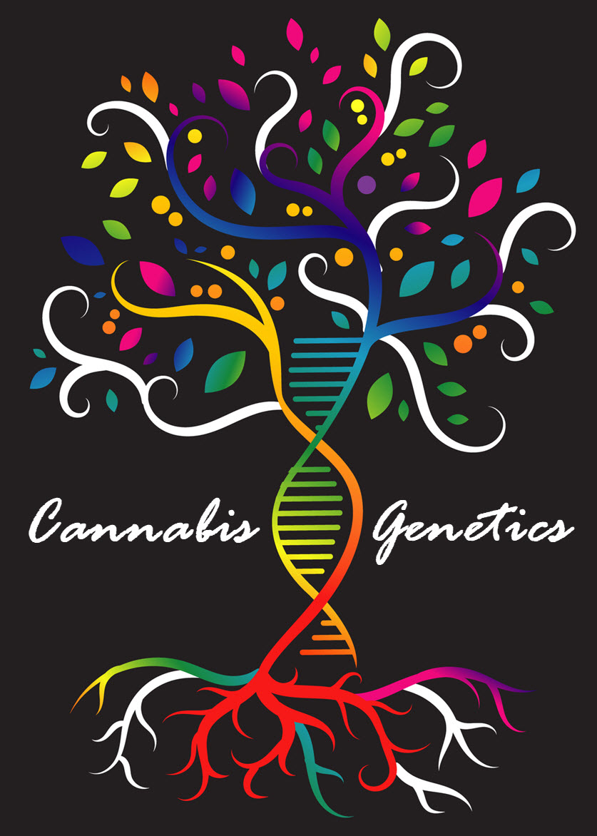 MARIJUANA PLANT GENETICS GUIDE