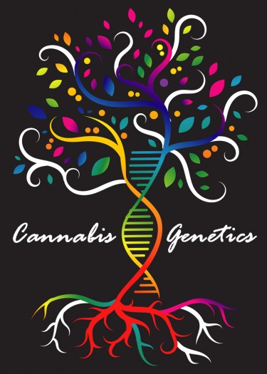 MARIJUANA GENETICS 101