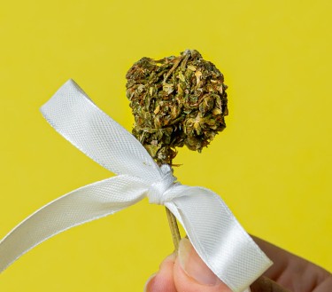 cannabis gift at Christmas