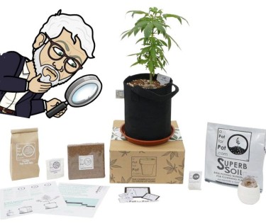 cannabis grow kits for home use