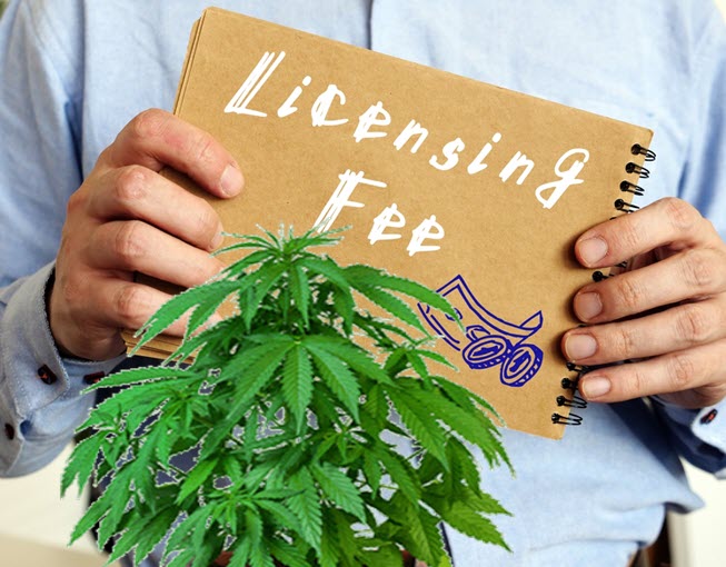 How Much Does It Cost To Get A License And Grow Legal Weed? The State ...