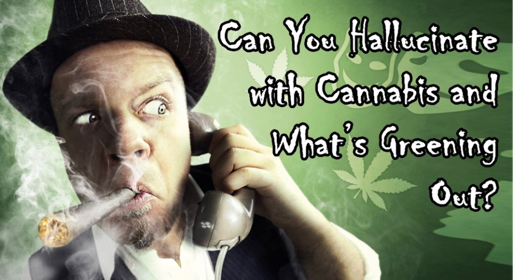 CAN YOU GREEN OUT AND HALLUCINATE ON WEED