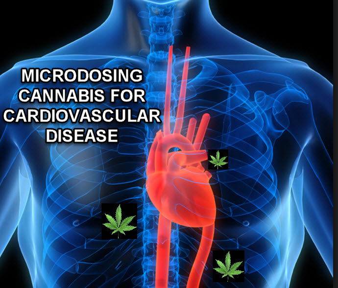 CANNABIS FOR HEART HEALTH MICRODOSING